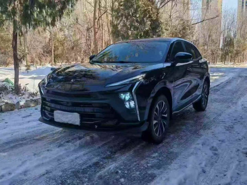 运城24年东风风行2