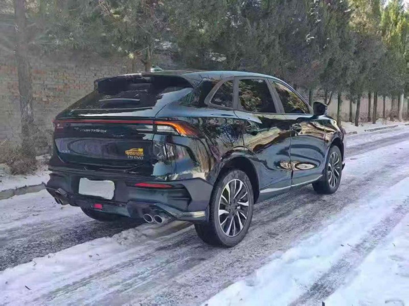 运城24年东风风行4