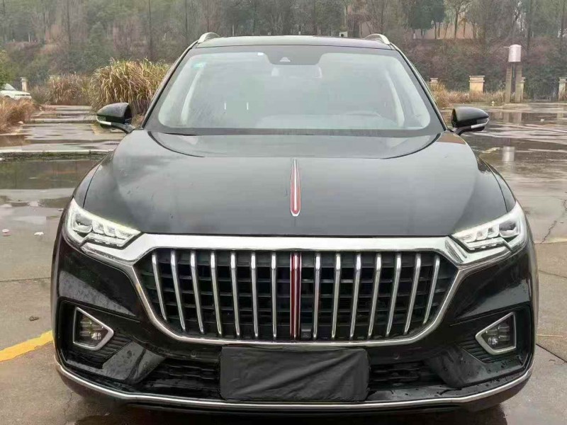 潍坊20年红旗HS51