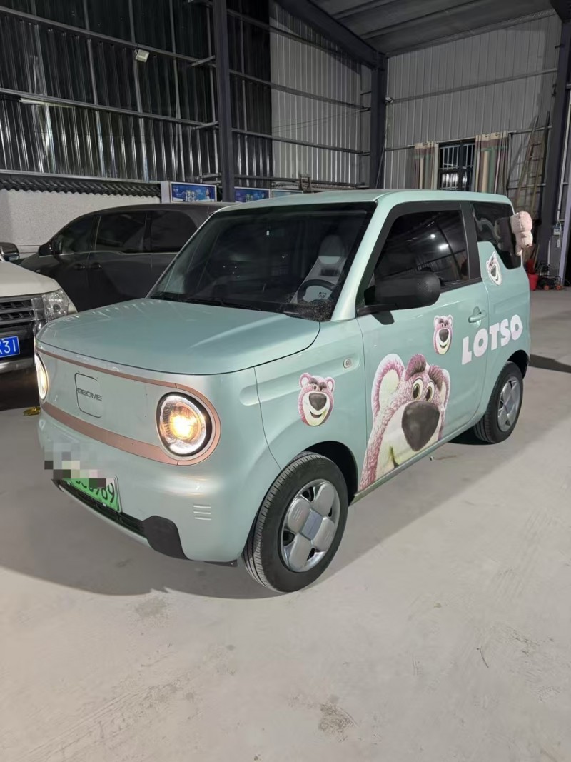 菏泽24年吉利熊猫2