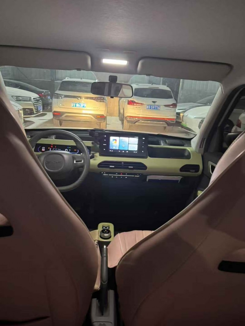 菏泽24年吉利熊猫4