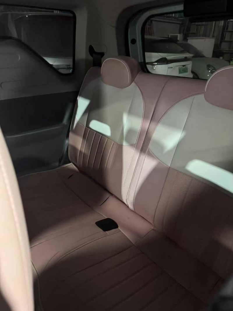 菏泽24年吉利熊猫5