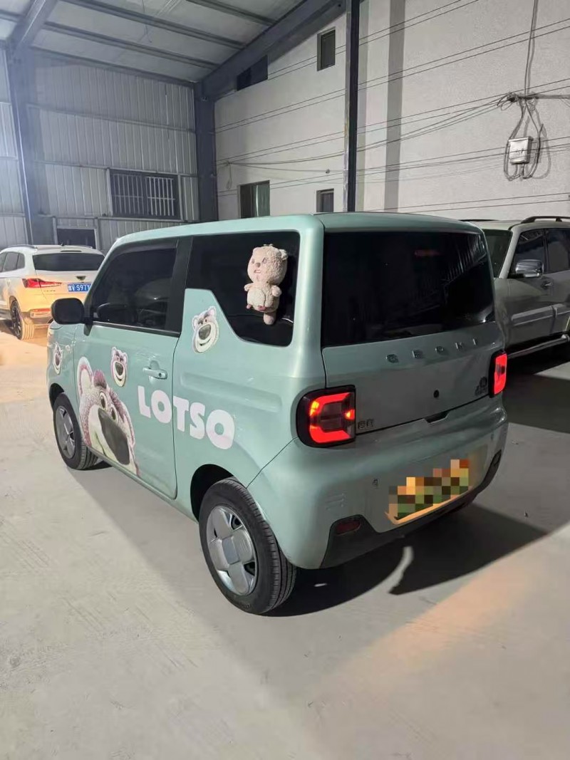 菏泽24年吉利熊猫7