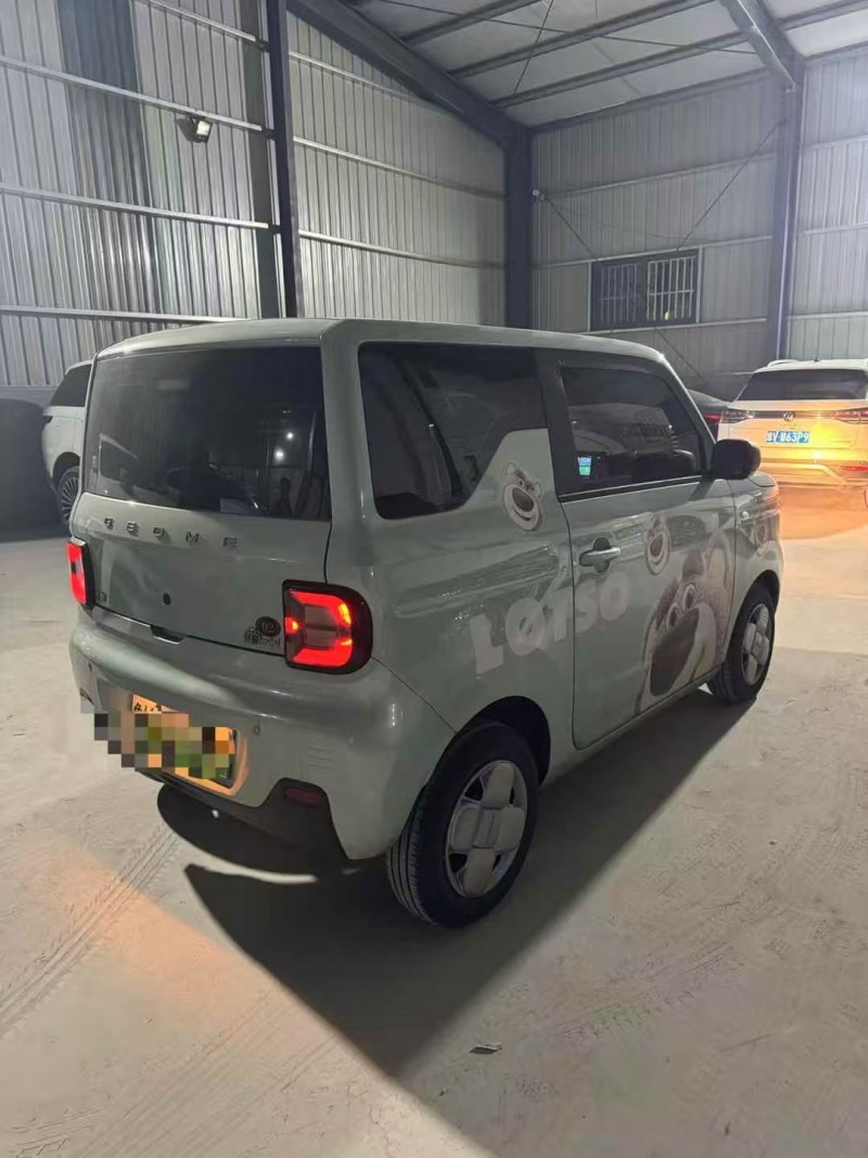 菏泽24年吉利熊猫8