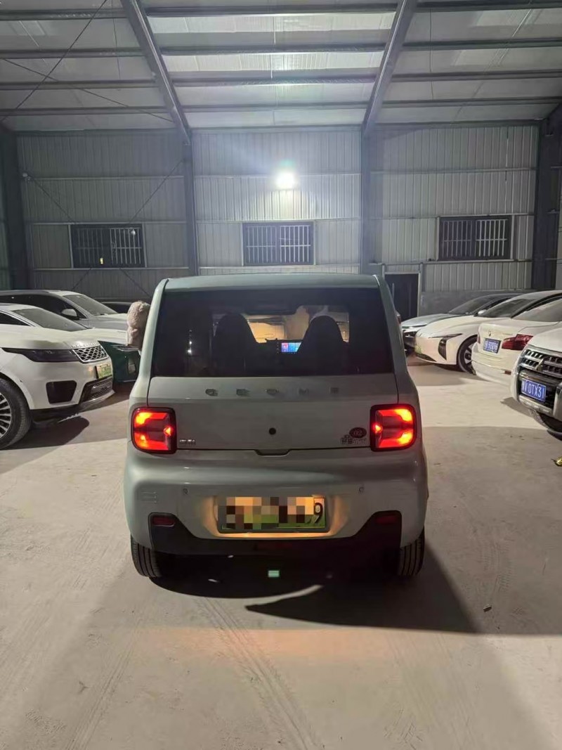 菏泽24年吉利熊猫9