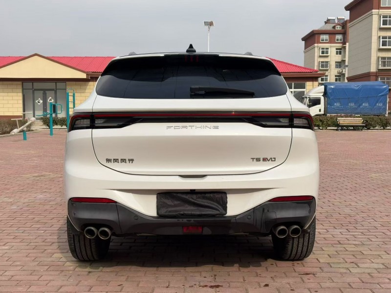 枣庄23年东风风行5