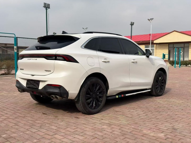 枣庄23年东风风行6