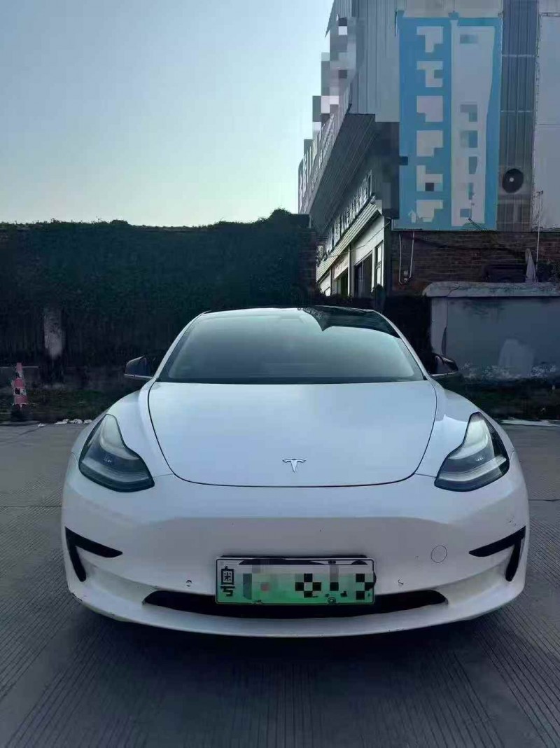 湛江20年特斯拉MODEL 31