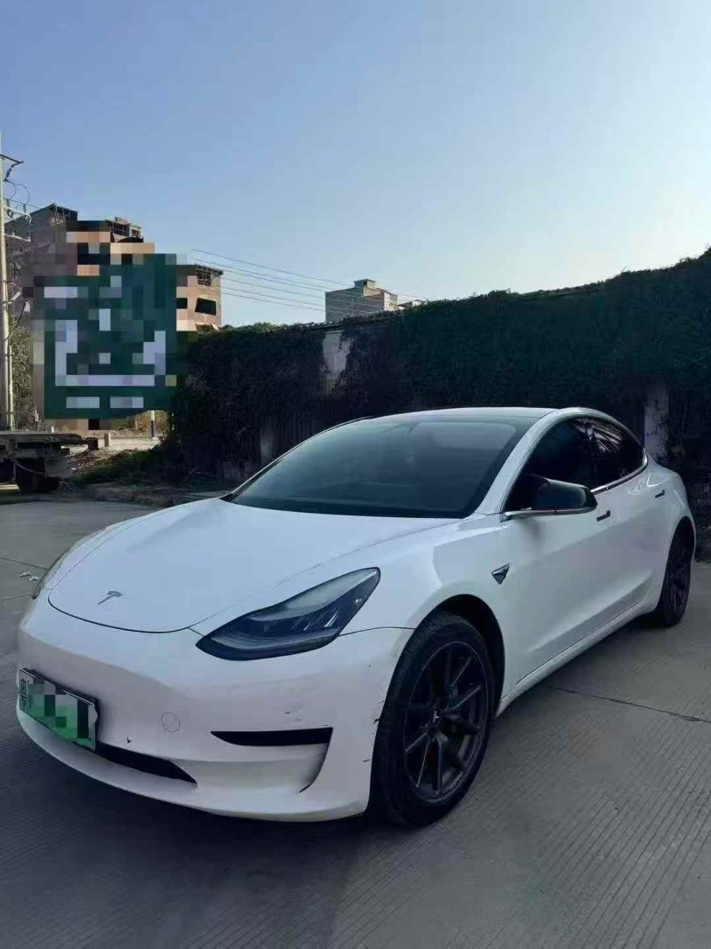 湛江20年特斯拉MODEL 32