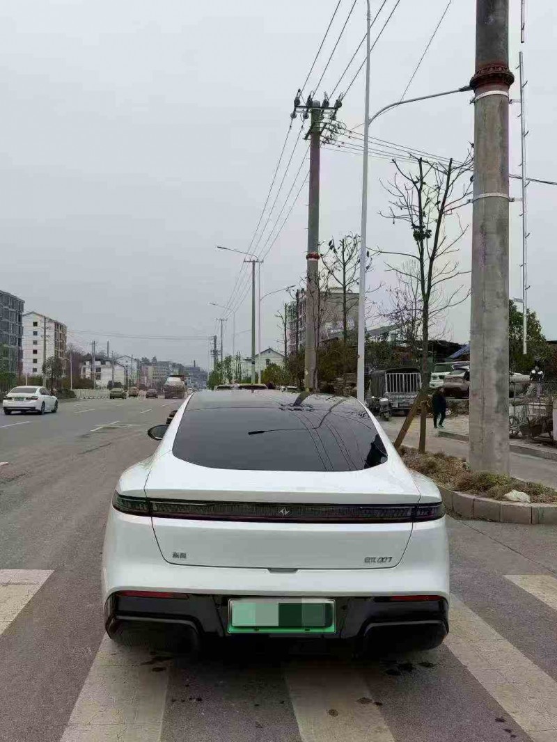 张家界25年东风奕派8