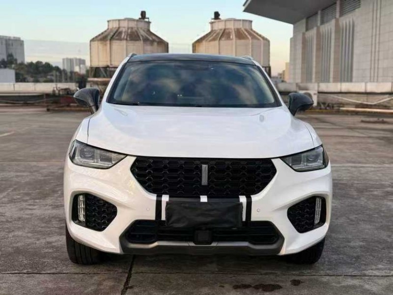 东莞19年长城汽车WEY1