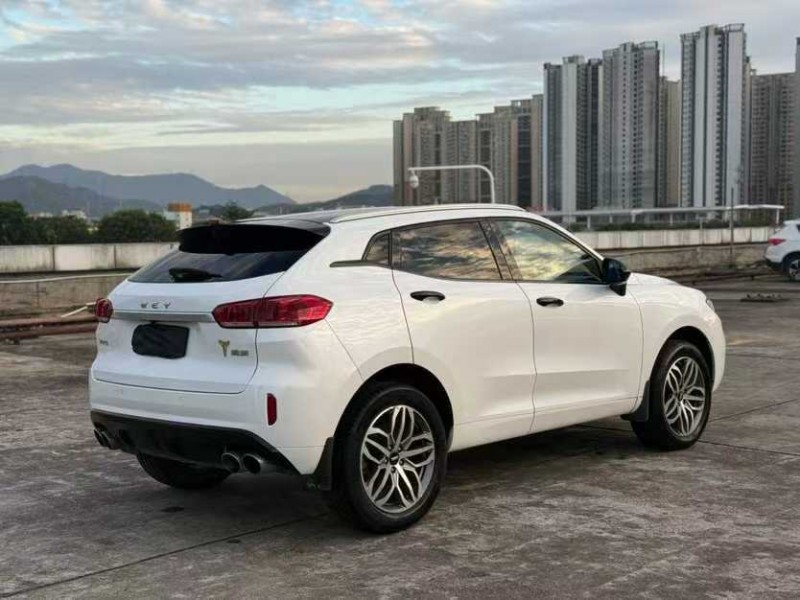 东莞19年长城汽车WEY9