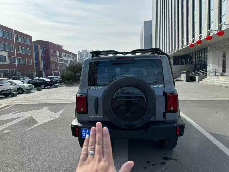 烟台24年长城汽车坦克9