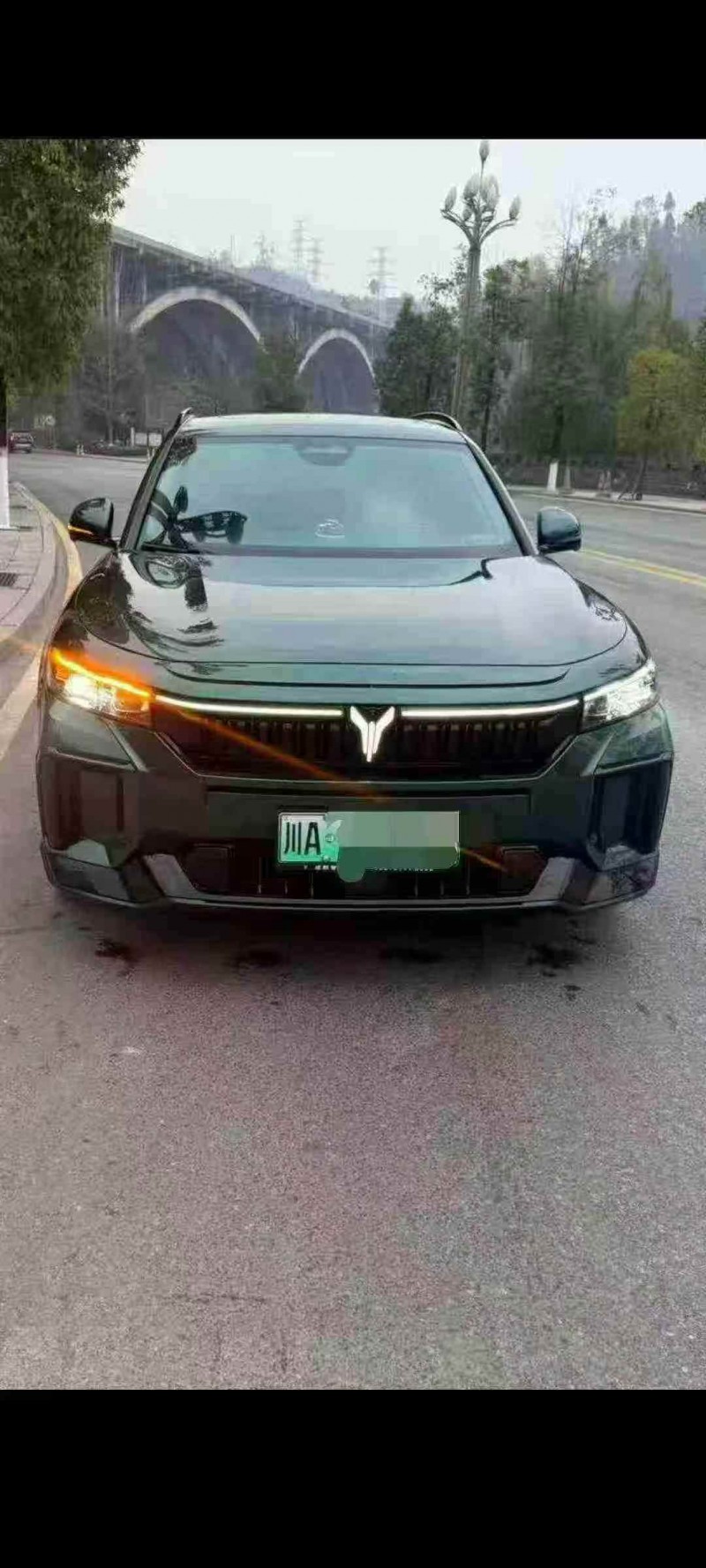 成都25年岚图汽车FREE1