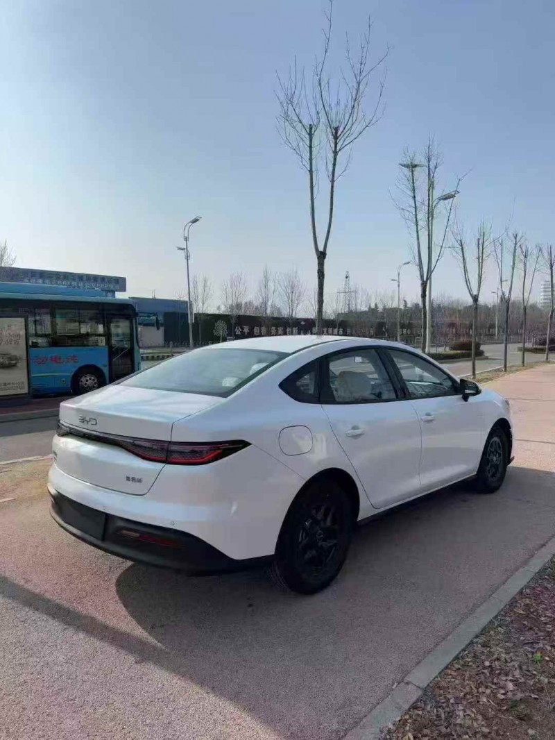 淄博25年比亚迪海豹8