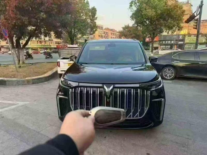 金华23年岚图汽车梦想家1