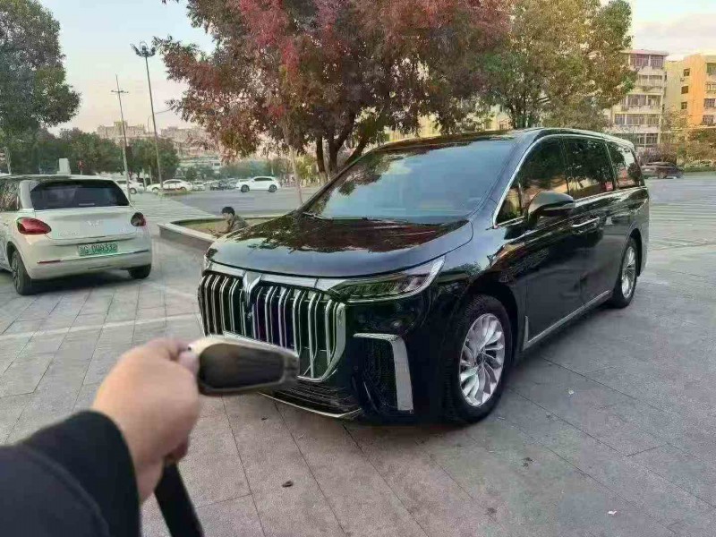 金华23年岚图汽车梦想家2