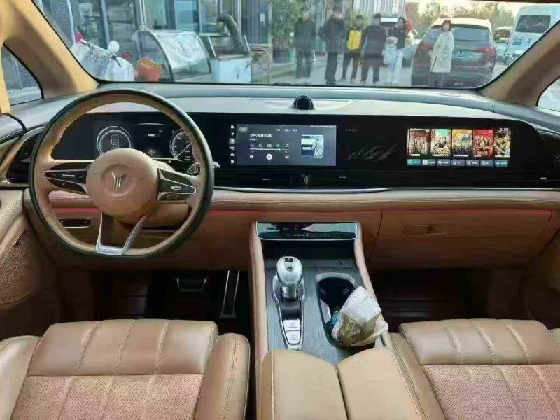 金华23年岚图汽车梦想家5