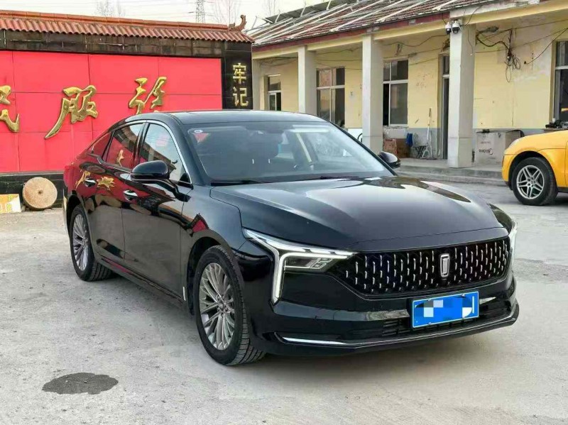 淄博25年奔腾B703