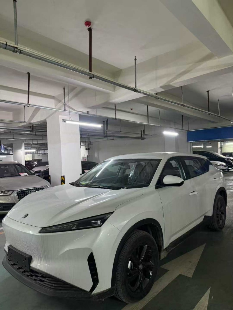 襄阳26年东风风神2