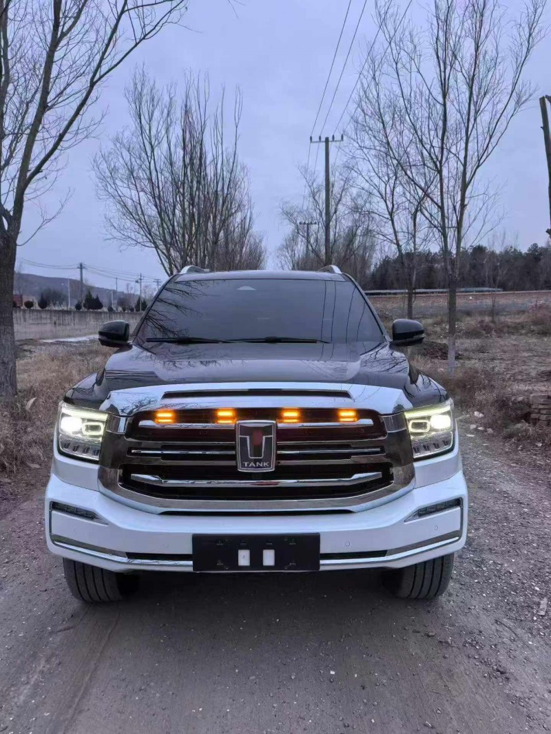 平凉24年长城汽车坦克1