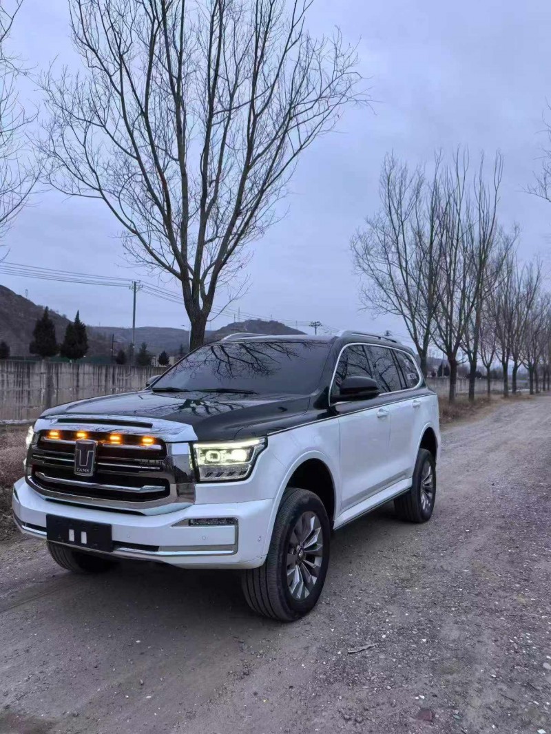 平凉24年长城汽车坦克2