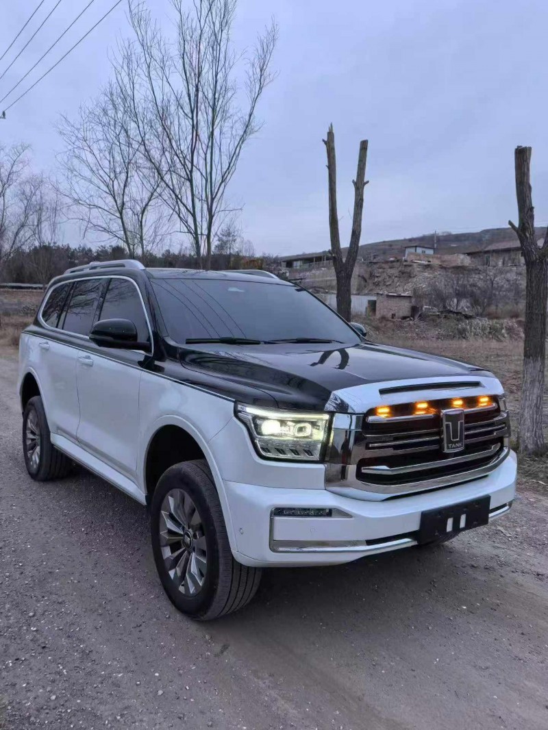 平凉24年长城汽车坦克3