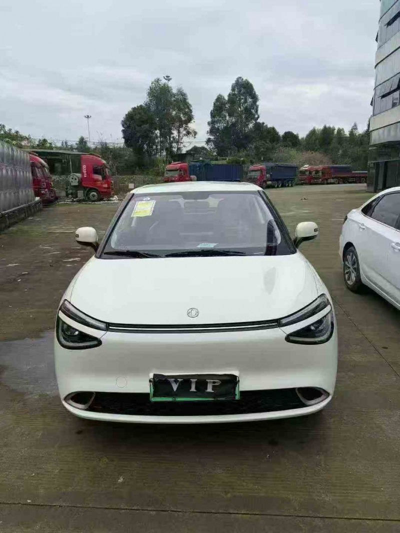 德阳25年东风纳米1