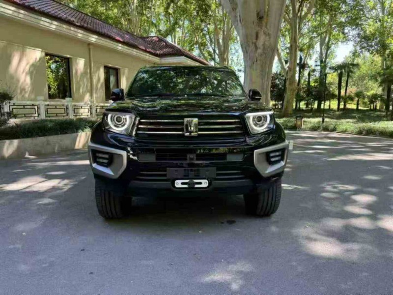 南通25年长城汽车炮 皮卡1