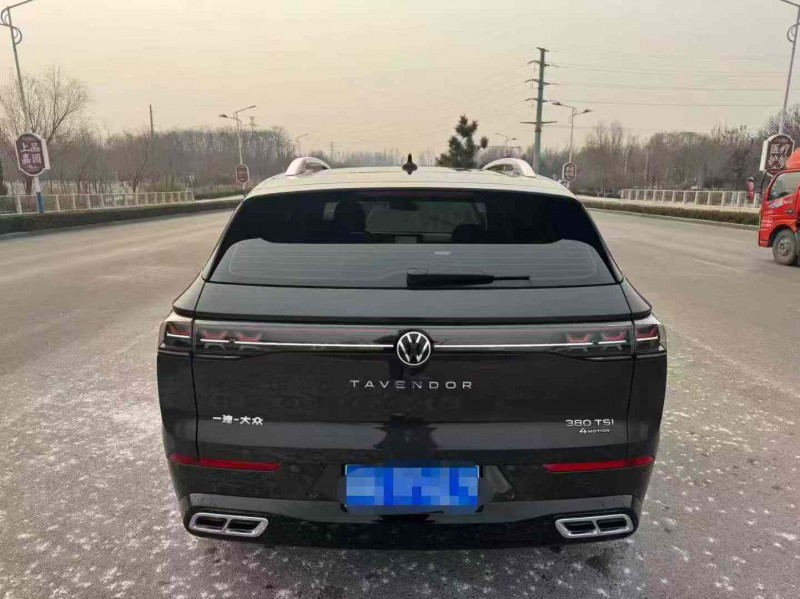 聊城24年大众揽巡9