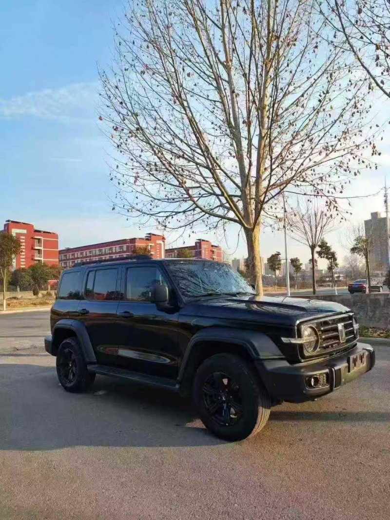 新乡23年长城汽车坦克3