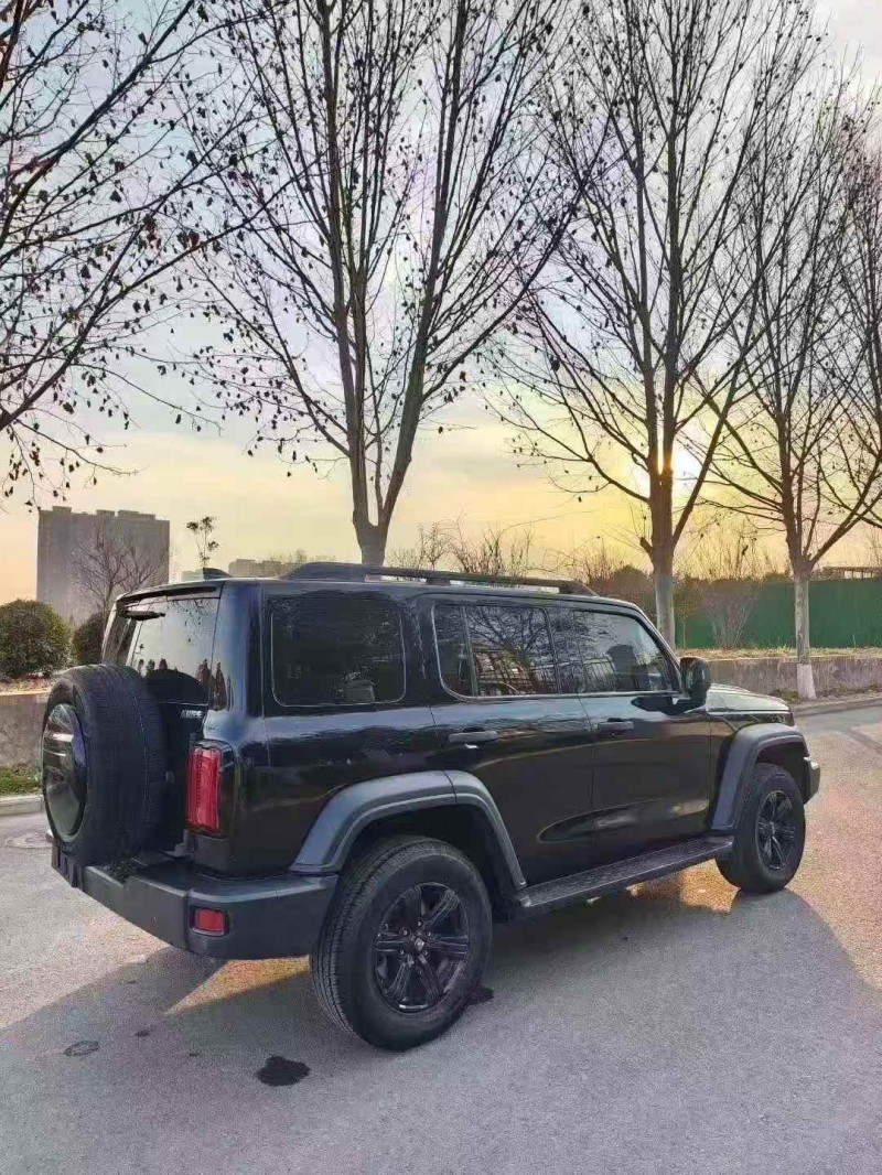 新乡23年长城汽车坦克8