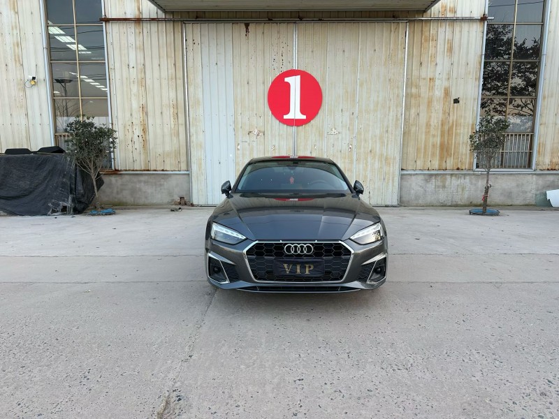 徐州24年奥迪A51