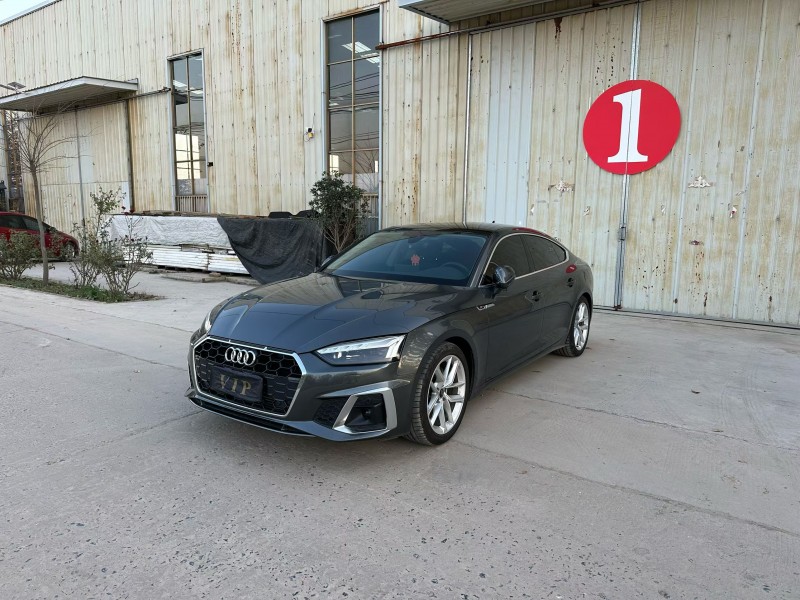 徐州24年奥迪A52