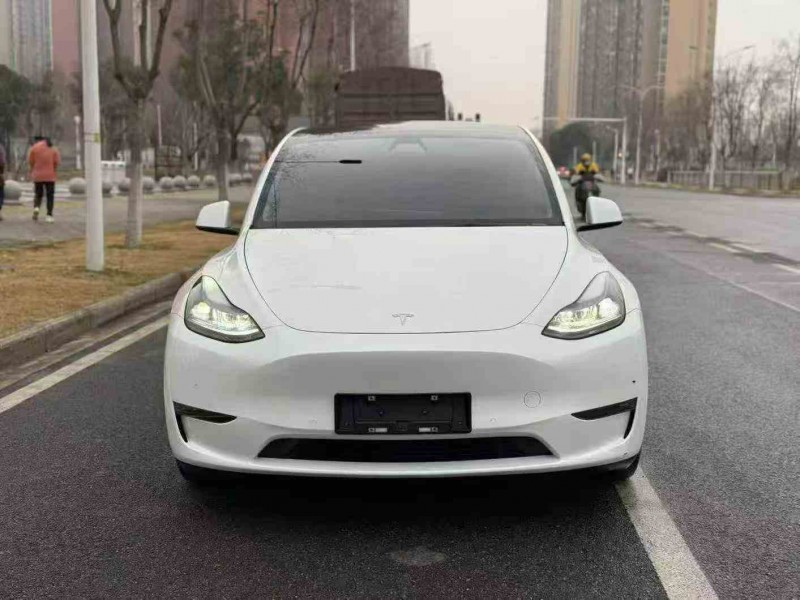 鄂州23年特斯拉MODEL Y1