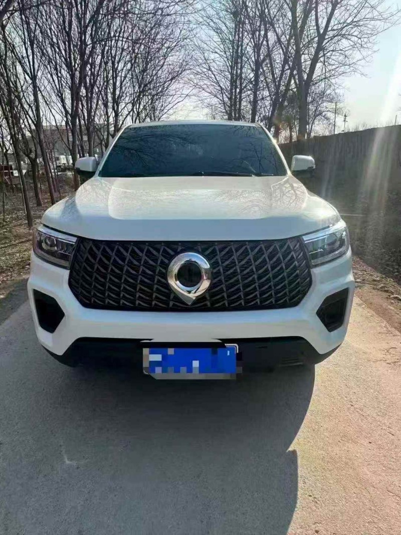 枣庄25年长城汽车炮 皮卡1