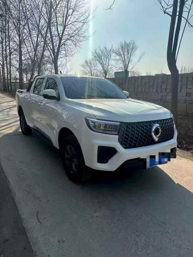 枣庄25年长城汽车炮 皮卡2