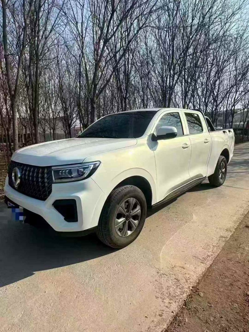 枣庄25年长城汽车炮 皮卡3