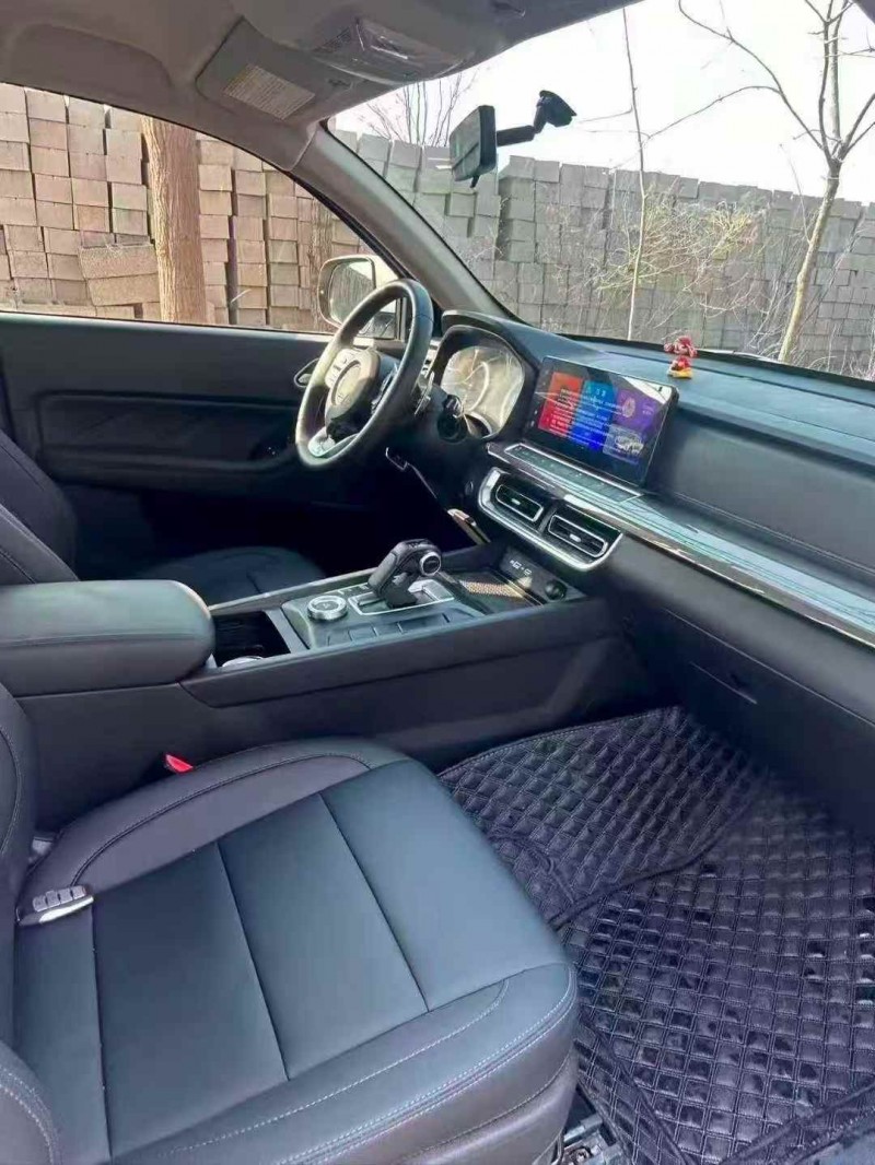 枣庄25年长城汽车炮 皮卡5