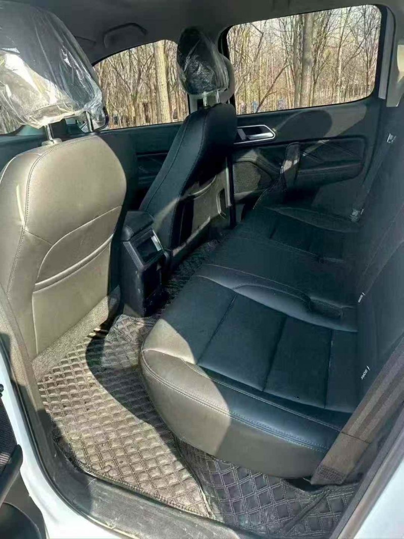 枣庄25年长城汽车炮 皮卡7