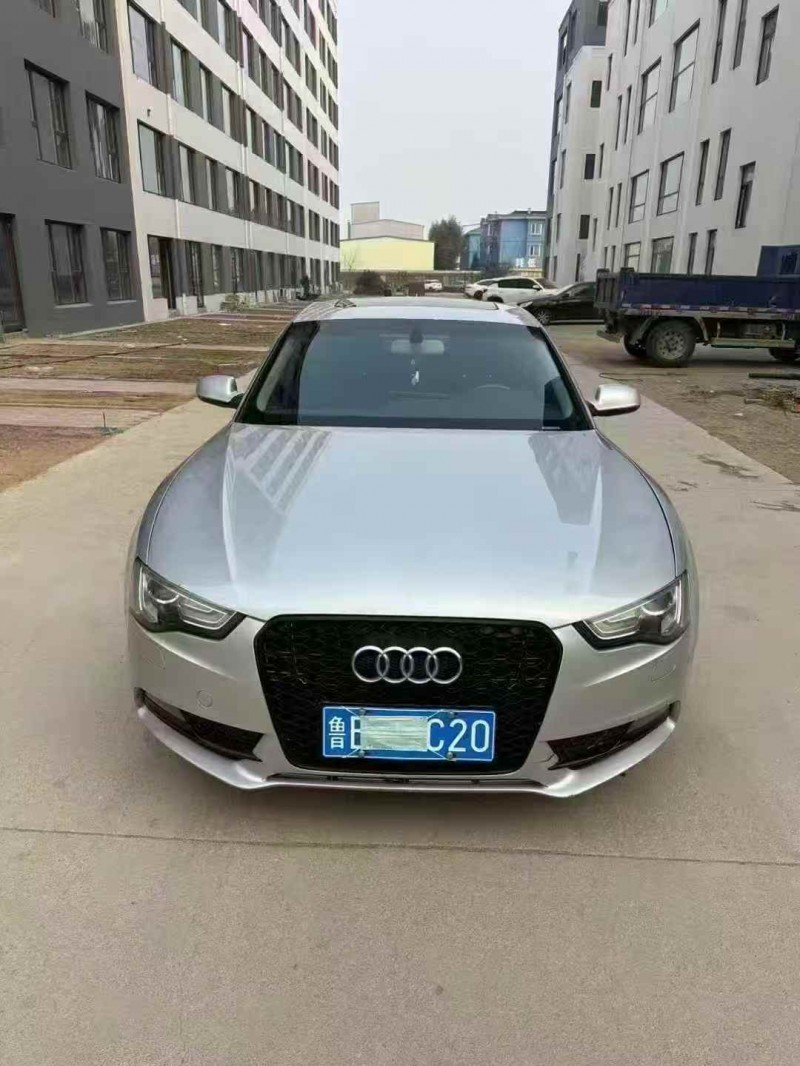 潍坊12年奥迪A51