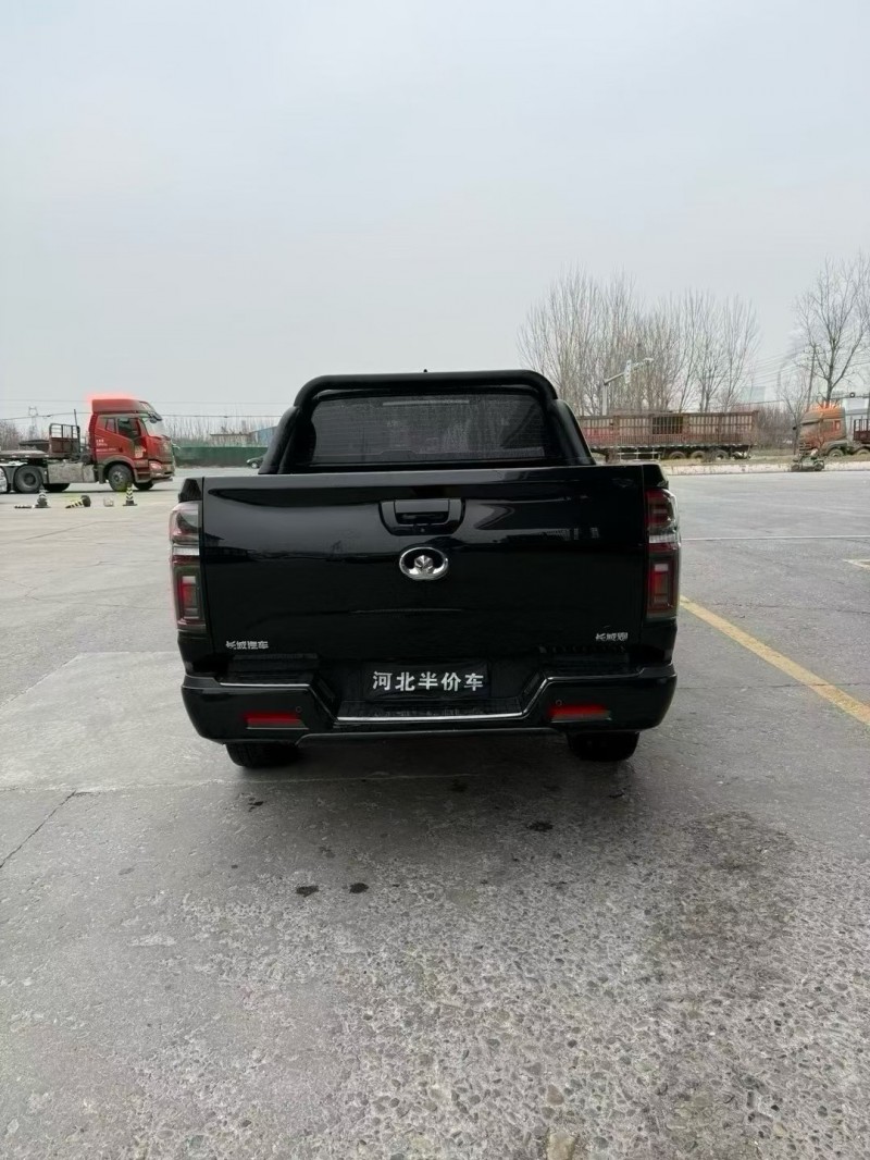 保定21年长城汽车炮 皮卡9