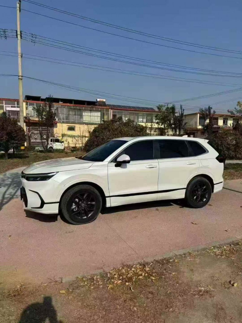 枣庄24年本田皓影2