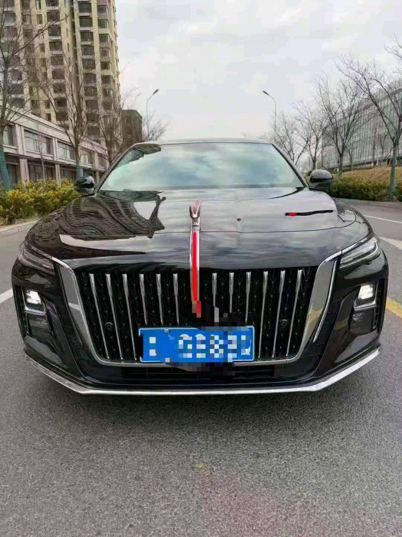 淄博24年红旗H51