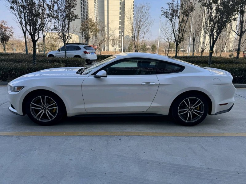 日照19年福特野马4