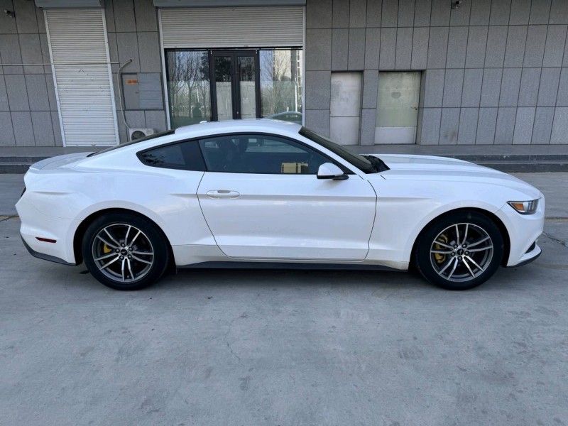 日照19年福特野马8