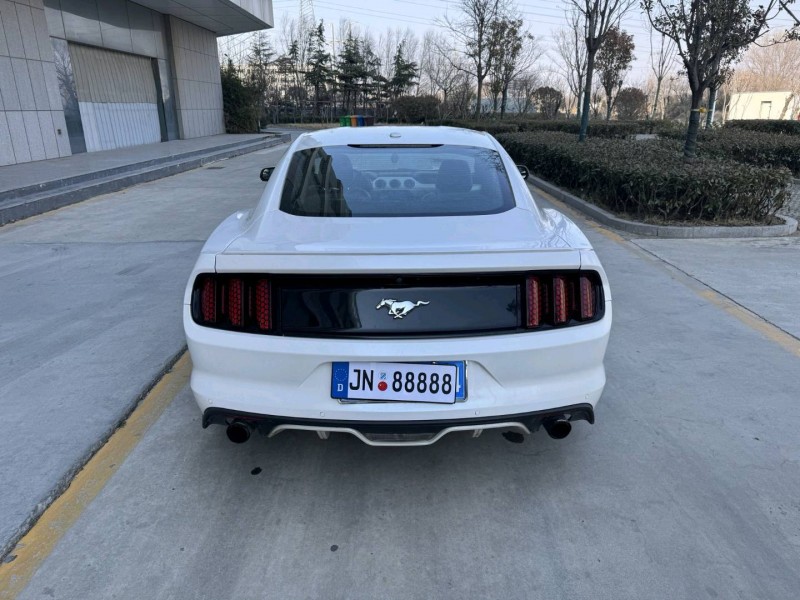 日照19年福特野马9