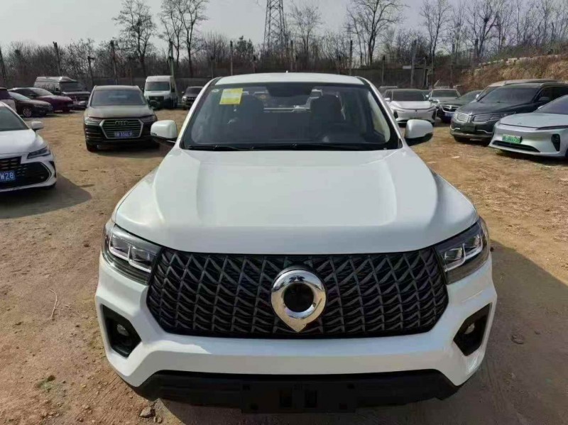 枣庄26年长城汽车炮 皮卡1