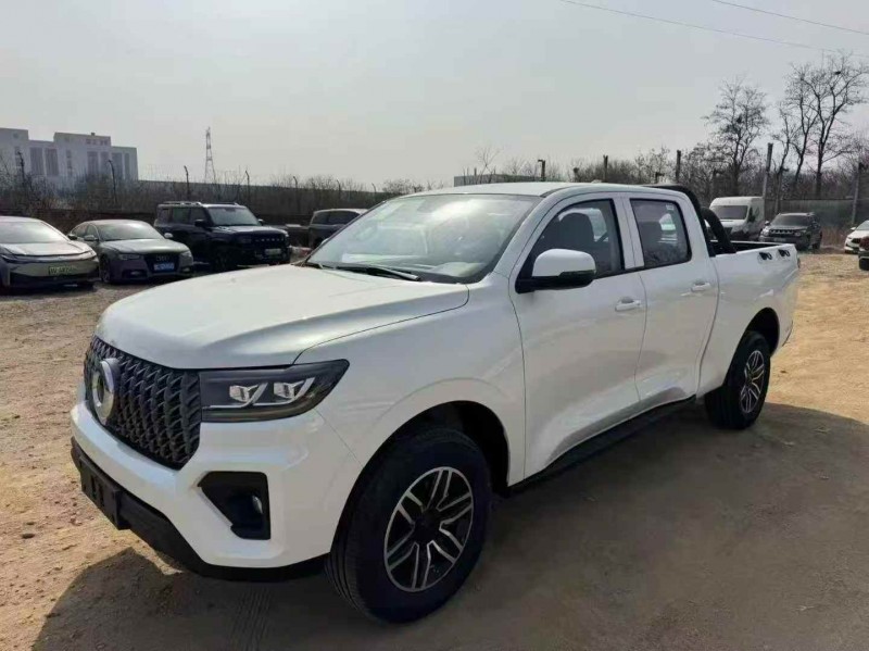 枣庄26年长城汽车炮 皮卡2