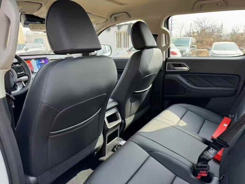 枣庄26年长城汽车炮 皮卡5